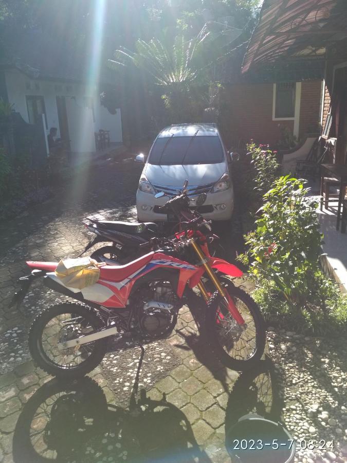 Made Homestay Munduk Esterno foto
