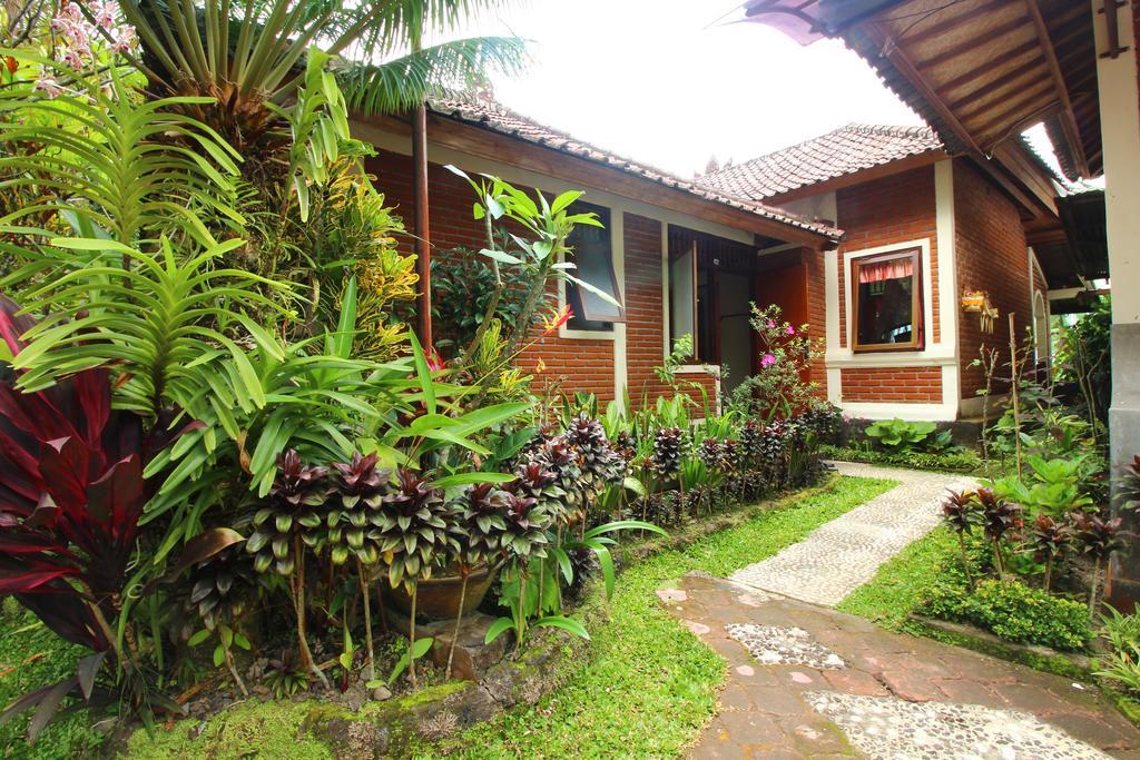 Made Homestay Munduk Esterno foto