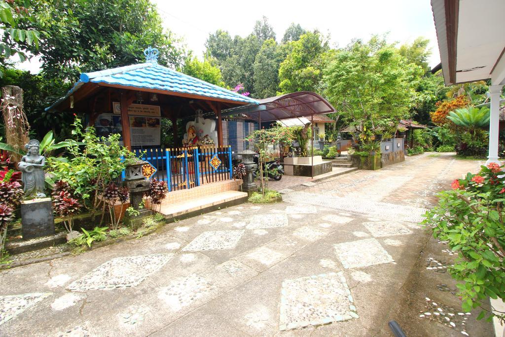 Made Homestay Munduk Esterno foto