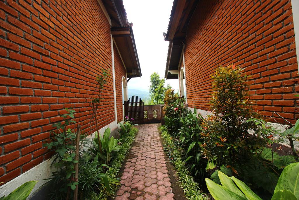 Made Homestay Munduk Esterno foto