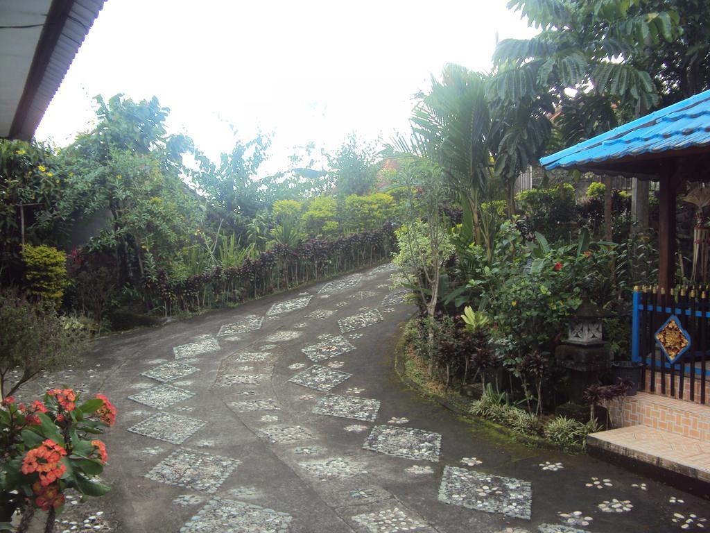 Made Homestay Munduk Esterno foto